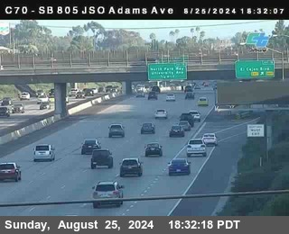 SB 805 at Madison Ave (Off Ramp)