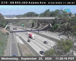 SB 805 at Madison Ave (Off Ramp)