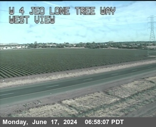 Traffic Cam TV225 -- SR-4 : AT EOF LONE TREE WAY
 - West
